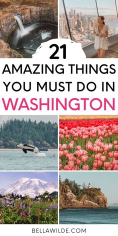 the top things you must do in washington