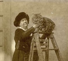 an old photo of a woman with a cat on top of a wooden step ladder