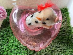 a small stuffed animal in a heart shaped bowl on some green grass with pink roses