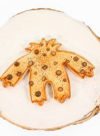 a cookie shaped like a giraffe sitting on top of a white plate with holes in it