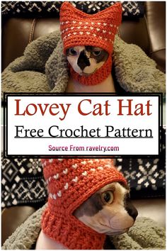 a cat wearing a knitted hat and scarf with the caption lovely cat hat free crochet pattern