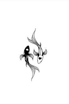 two black and white koi fish swimming side by side on a white background illustration