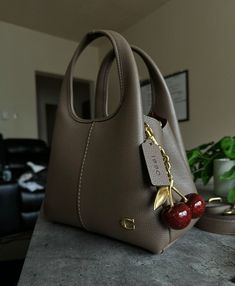 Luxury Purses, Bags Aesthetic, Cute Purses