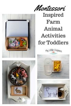 montessori inspired farm animal activities for toddlers