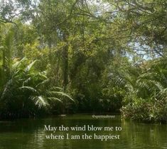 a river surrounded by trees with a quote about may the wind blow me to where i am the happest