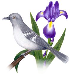 a bird sitting on top of a purple flower