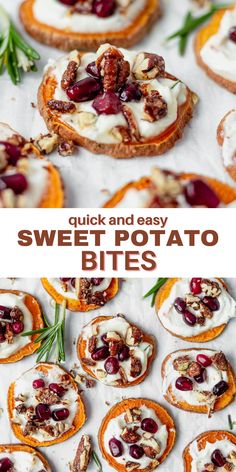 sweet potato bites with cream cheese, nuts and cranberries on top are the perfect appetizer for any holiday gathering