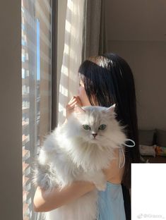 a woman is holding a white cat in her arms and looking out the window with sunlight streaming through it