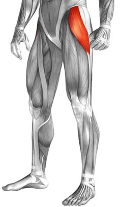 the muscles are highlighted in this image, and there is also a red spot on the lower half of the body