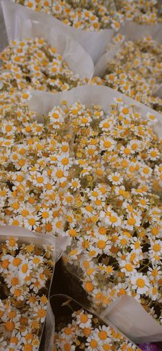 many white and yellow flowers are in plastic bags