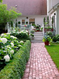 a garden with white flowers and green grass