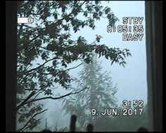 an image of the outside of a window with trees and fog in the background that reads stay 00 05 55 easy