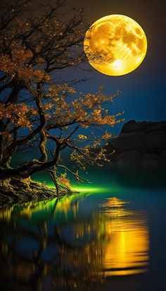 the full moon shines brightly in the night sky over a body of water and trees