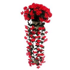 red flowers are hanging from the side of a vase