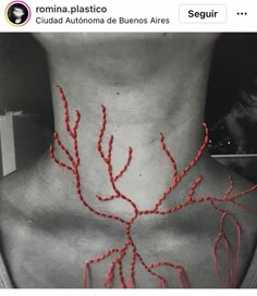 an image of a woman's neck with red beads on the top and bottom