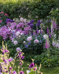 many different types of flowers in a garden