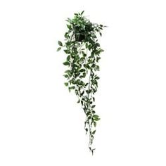 a green plant hanging from the side of a white wall