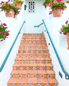 an orange tiled stair case with potted flowers on the side and blue handrails