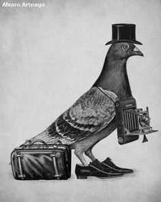 a black and white drawing of a bird with a hat on its head holding a camera