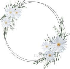 white daisies arranged in a circle on top of green stems and needles with yellow centers