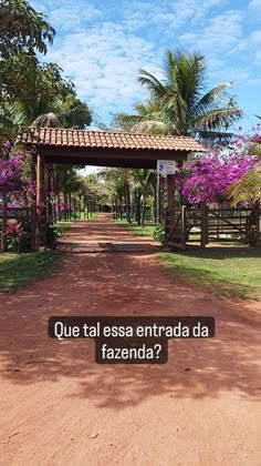 a dirt road with trees and flowers in the background that says que tal essa entrada da fazenda?