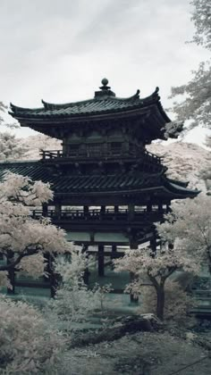 Ancient China Aesthetic, Madara Susanoo, Japan Architecture, Asian Architecture, Japan Aesthetic, Aesthetic Japan