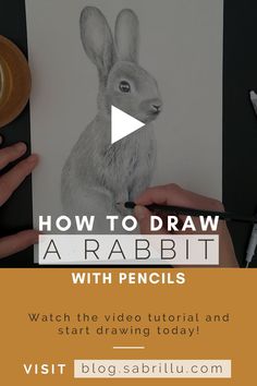 someone is drawing a rabbit with pencils on a paper and the text how to draw a rabbit with pencils