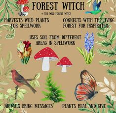 Magickal Herbs, Pagan Spirituality, Forest Witch