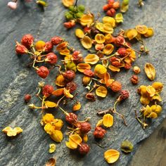 some yellow and red flowers on a rock