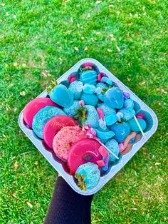 a person holding a tray filled with different colored rocks