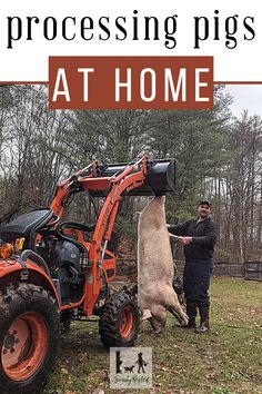 a man standing next to a tractor with a large animal on it's back