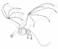 a black and white drawing of a dragon flying through the air with its wings spread