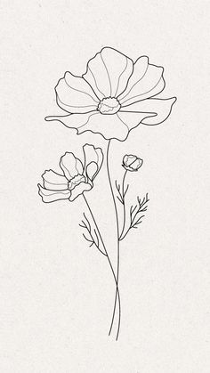 a line drawing of two flowers on a white background