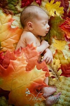 a baby is laying down with autumn leaves on it's back and his eyes are closed