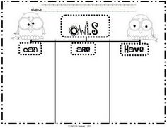 an owl themed worksheet with two owls on it