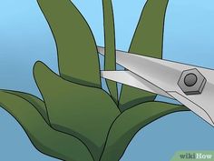 a pair of scissors that are sitting on top of a plant with leaves in the foreground