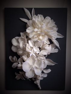 some white flowers on a black background