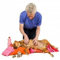 a woman is petting a dog on the floor with towels and toys around her