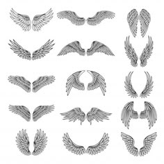 the different types of wings in black and white royalty photo - illustration, clipping