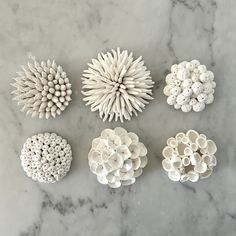 six different types of white objects on a marble counter top, all arranged in the shape of flowers