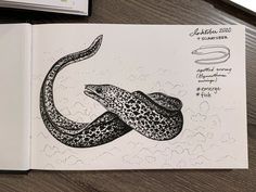 an open book with a drawing of a snake on it