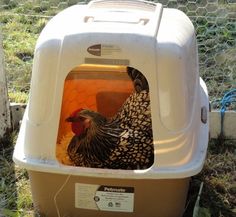 a chicken sitting inside of a white and brown litter box on the ground next to a wire fence