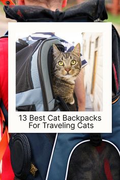 a cat sitting in the back of a backpack with text over it that reads 13 best cat backpacks for traveling cats