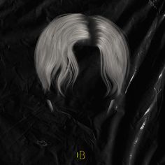 a black and white photo of a wig