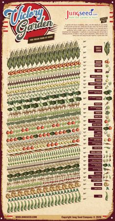 an old garden poster with the names and numbers for each type of plant in it