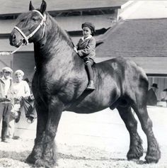 an old black and white photo of a boy on a horse with people around him