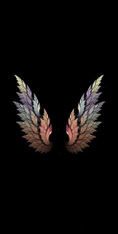 two wings with different colored feathers on them