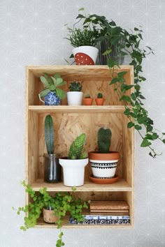 three wooden shelves filled with potted plants