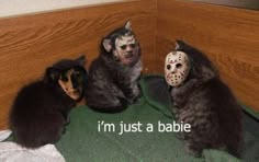 three cats with masks on sitting next to each other and the caption says i'm just a baby