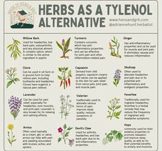 the different types of herbs as a tylenol alternative for plant health and nutrition